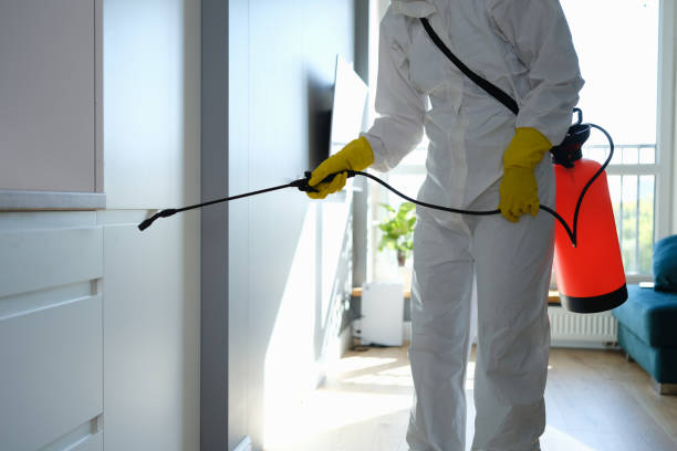 Best Pest Control for Restaurants and Food Service  in Long Valley, NJ